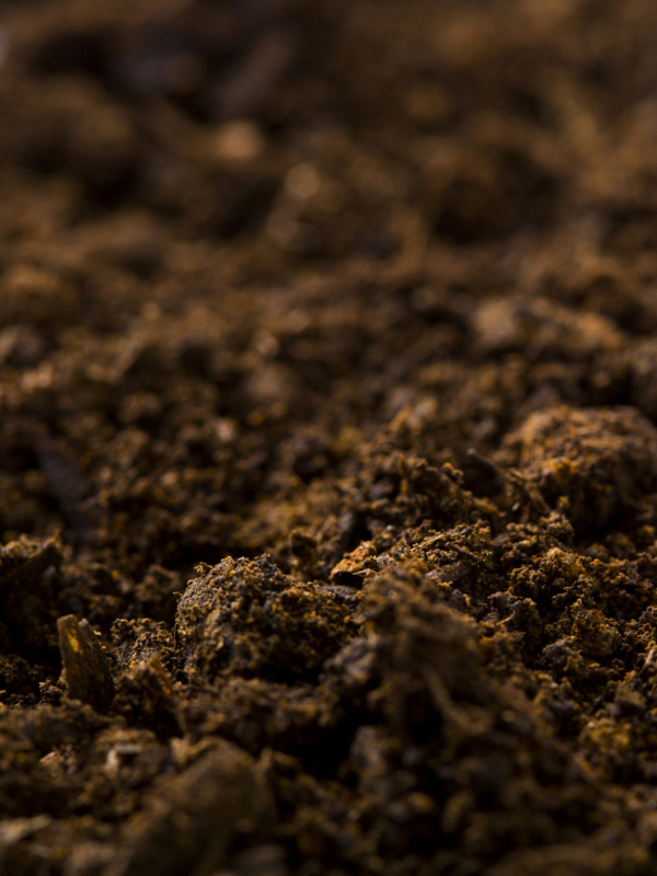 土壤酸碱度如何影响大麦品质？